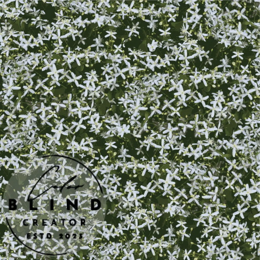 Delicate White Floral License Only Digital Art